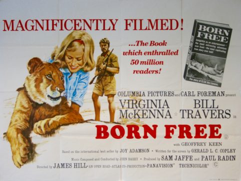 Born-Free-Movie-Poster