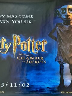 Harry Potter and the Chamber of Secrets Movie Poster