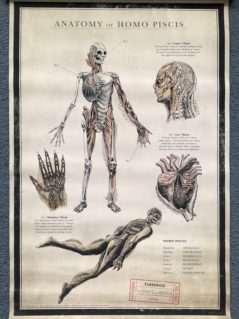 The-Shape-of-Water-Movie-Poster