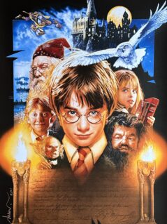 Harry Potter and the Sorcerer's Stone Alternative Movie Poster
