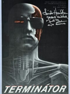 The Terminator Movie Poster