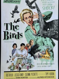 The Birds Alternative Movie Poster