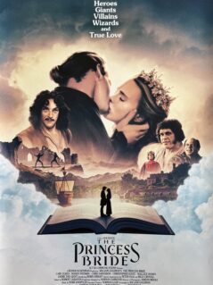 The Princess Bride Alternative Movie Poster